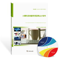 計算機(jī)系統(tǒng)服務(wù)項目商業(yè)計劃書