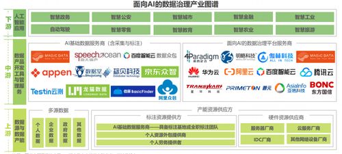 2022人工智能數(shù)據(jù)治理行業(yè) 數(shù)據(jù)處理服務(wù)為立足點，規(guī)模與受益圈日益擴(kuò)大